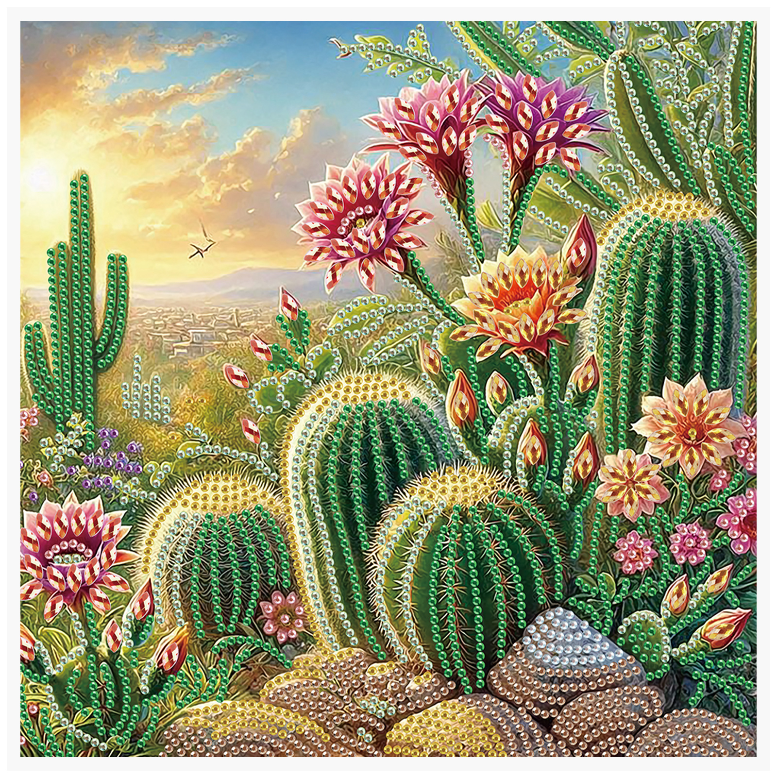 Img